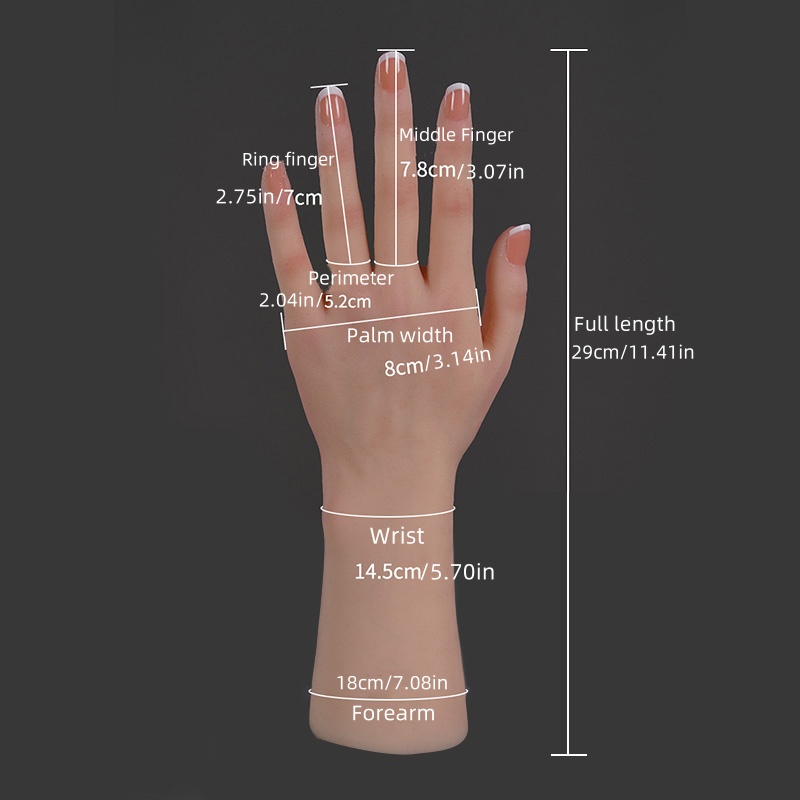 แบบจำลองมือผู้หญิงทำจากซิลิโคน - Art Craft Display บทวิจารณ์และราคา